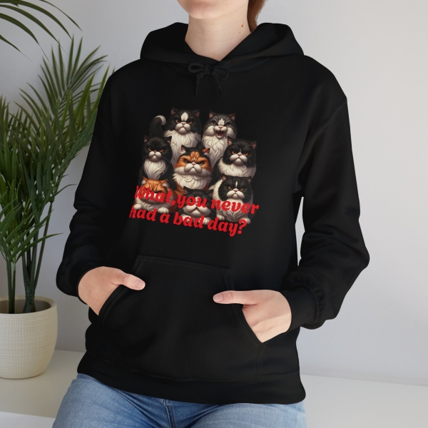 10086942839659591082_2048.jpeg Funny Cat Hoodie Want You Never Had a Bad Day?