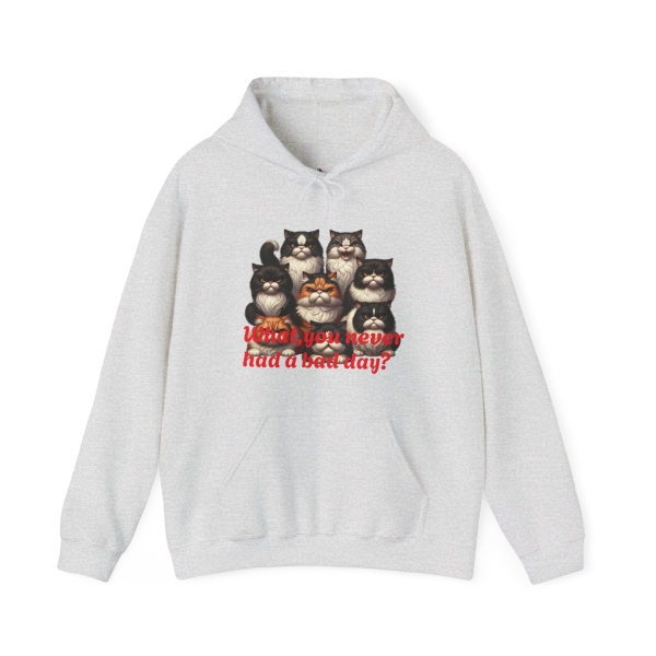 15008849829437289297_2048.jpeg Funny Cat Hoodie Want You Never Had a Bad Day?
