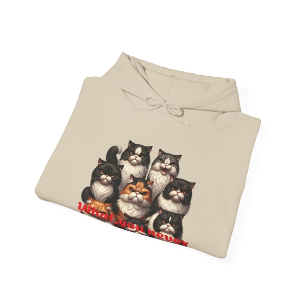 15527148529095101545_2048.jpeg Funny Cat Hoodie Want You Never Had a Bad Day?