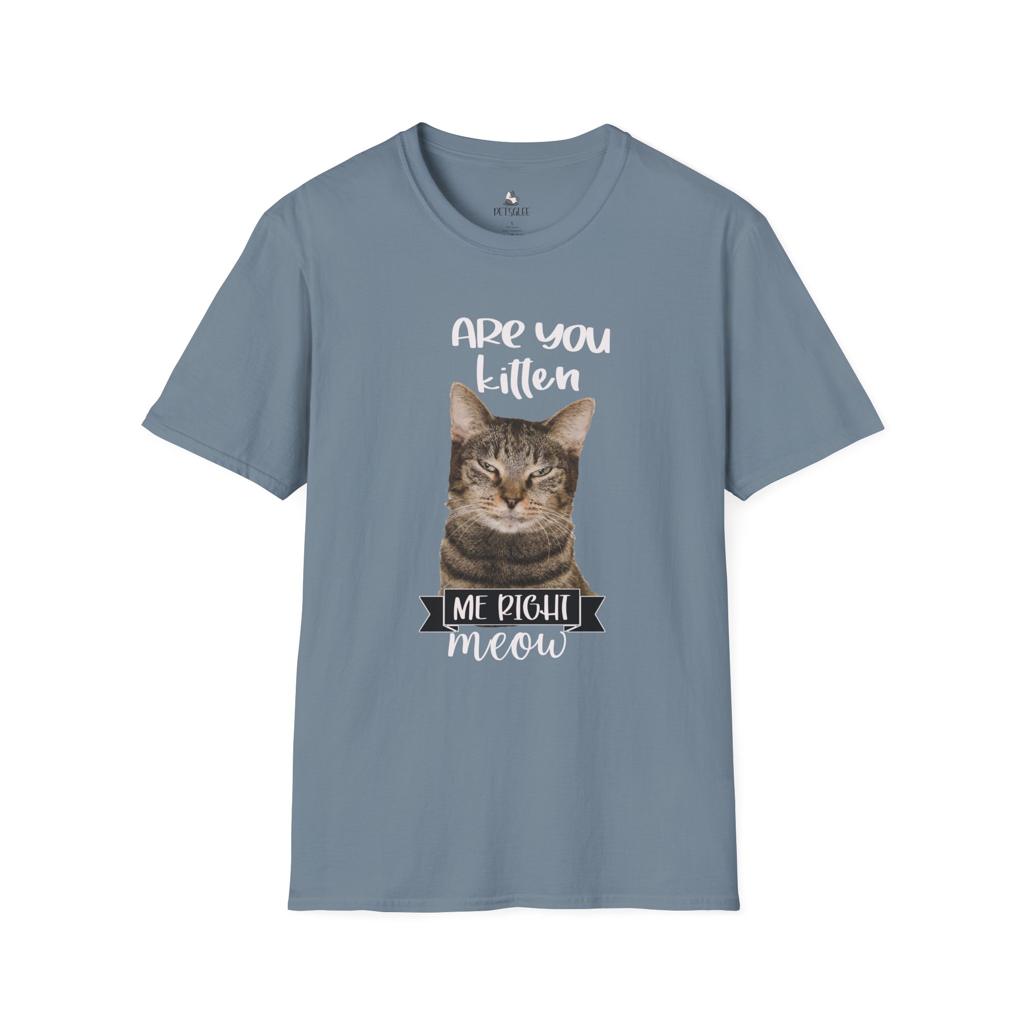 Cute Cat Humor Unisex T-Shirt Are You Kitten Me? Pet Lovers Gift, Funny Tee, Orange Cat Shirt, Birthday Gift, Casual Wear - Image 32