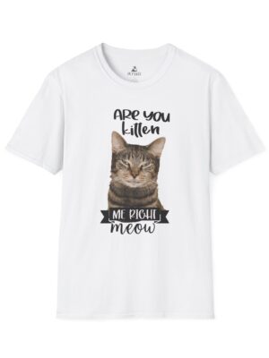 Funny Cat T-Shirt, Are You Kitten Me Right Meow Shirt, Gift for Cat Lovers, Softstyle Tee, Casual Wear, Purrfect for Birthdays