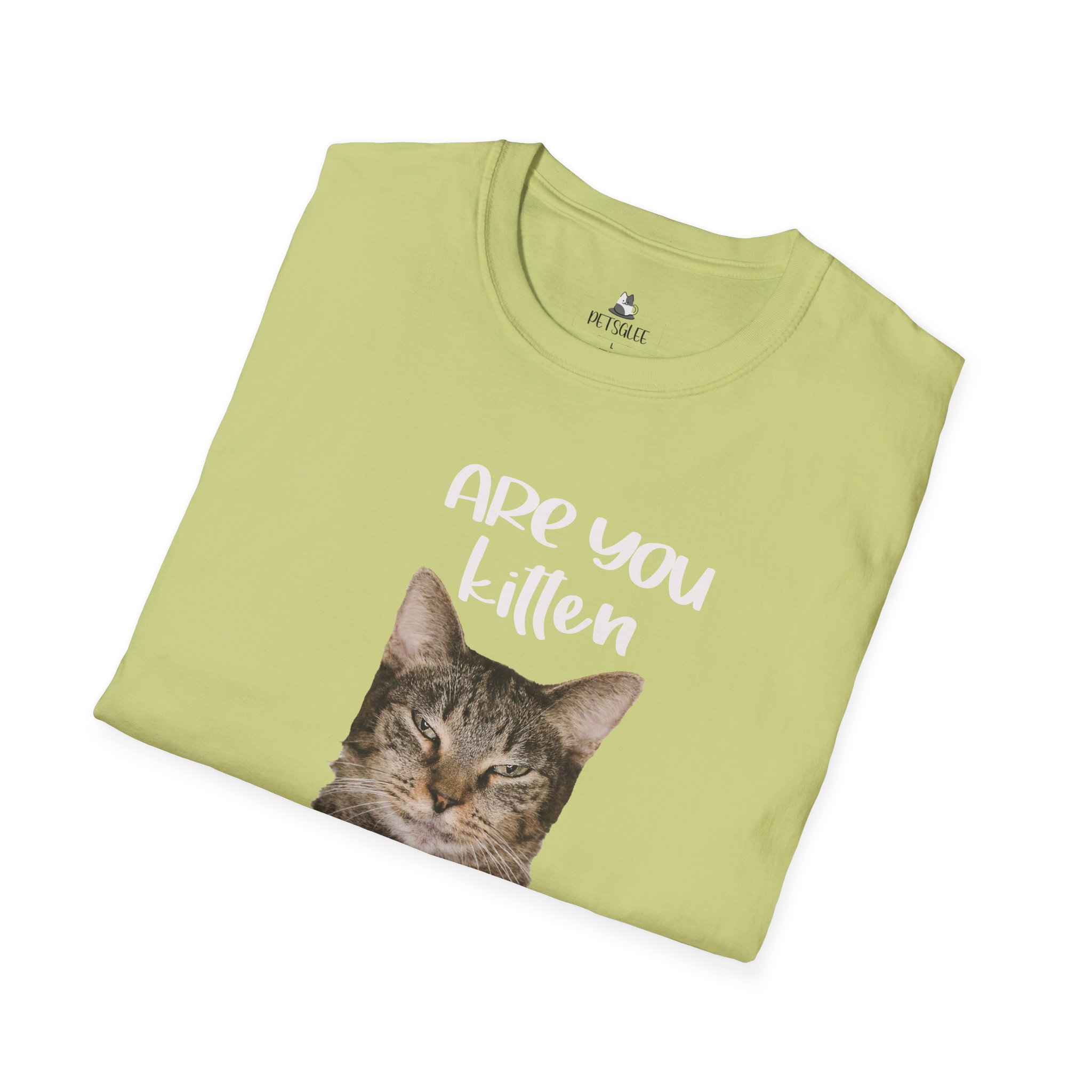 Cute Cat Humor Unisex T-Shirt Are You Kitten Me? Pet Lovers Gift, Funny Tee, Orange Cat Shirt, Birthday Gift, Casual Wear - Image 16