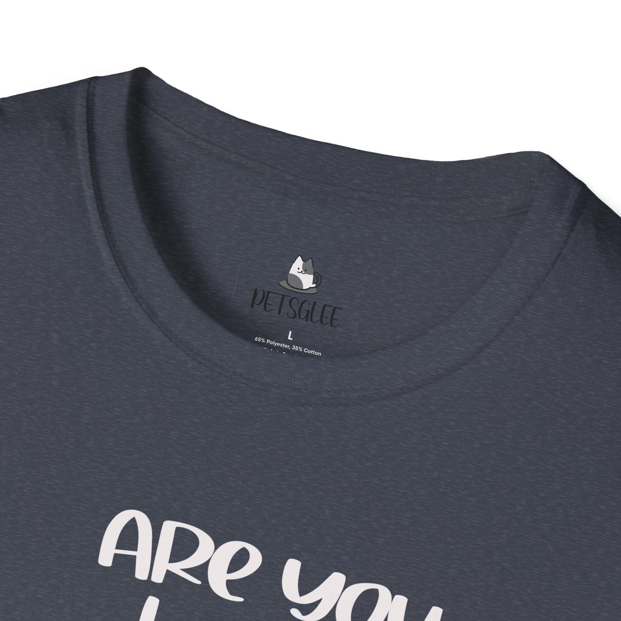 Cute Cat Humor Unisex T-Shirt Are You Kitten Me? Pet Lovers Gift, Funny Tee, Orange Cat Shirt, Birthday Gift, Casual Wear - Image 39