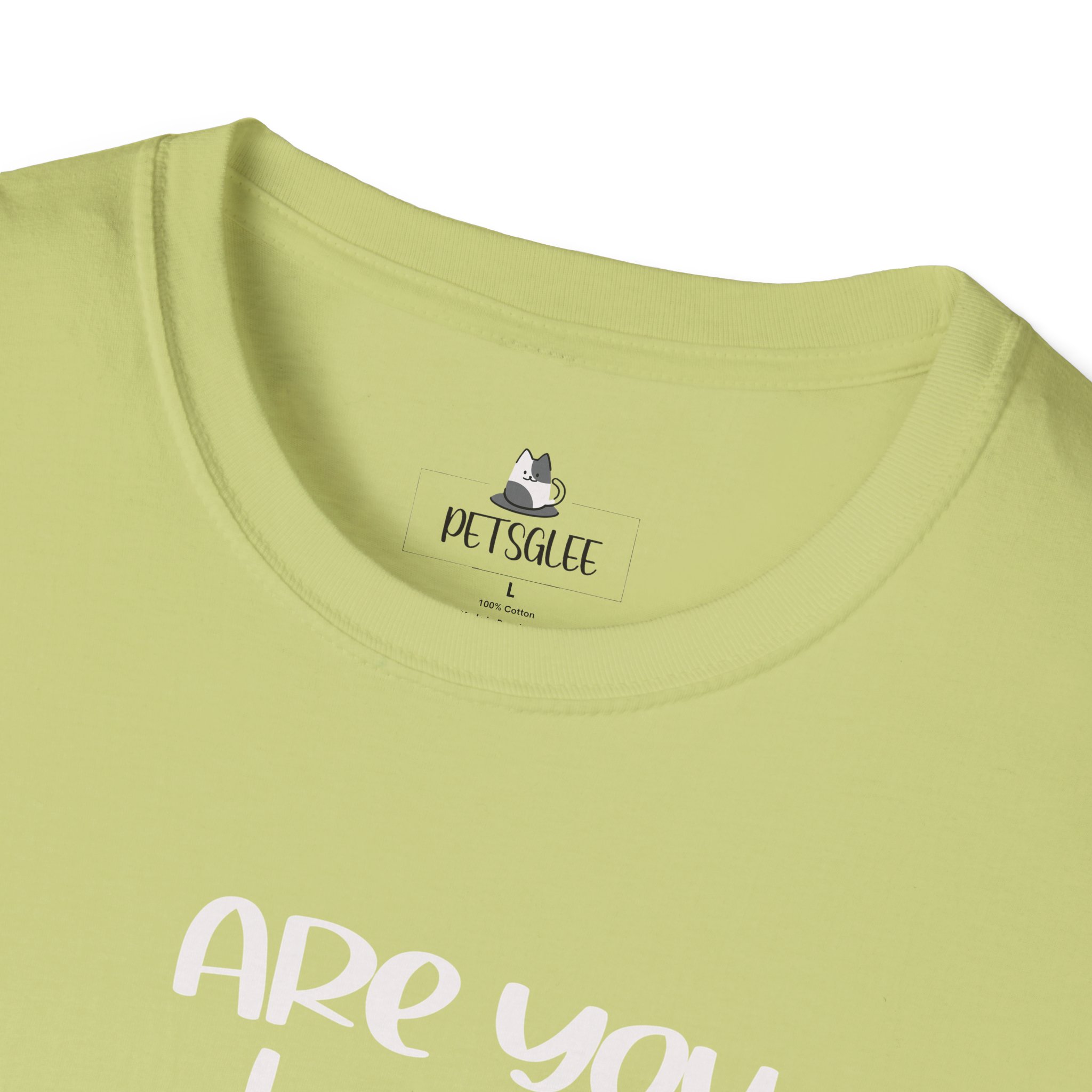 Cute Cat Humor Unisex T-Shirt Are You Kitten Me? Pet Lovers Gift, Funny Tee, Orange Cat Shirt, Birthday Gift, Casual Wear - Image 15