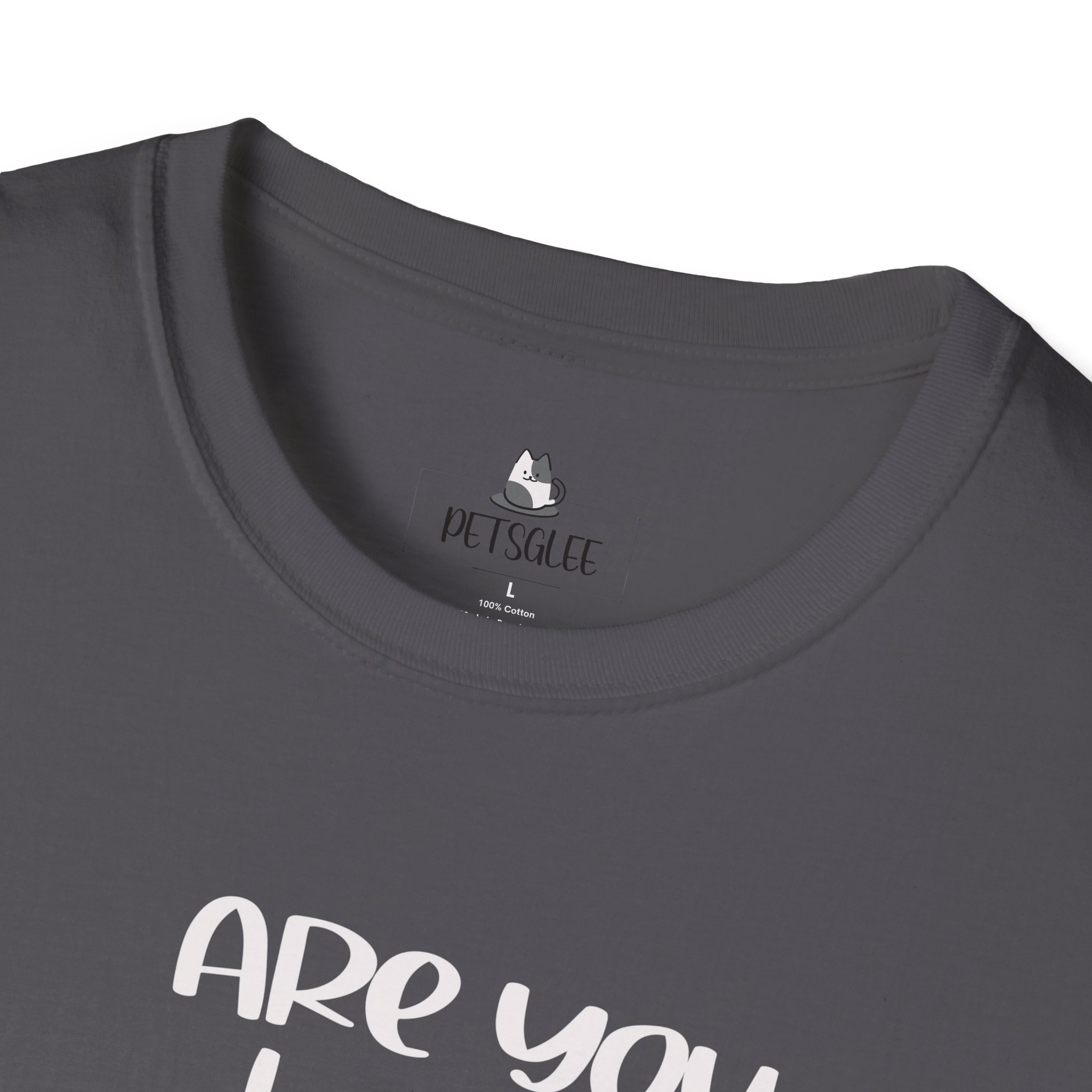 Cute Cat Humor Unisex T-Shirt Are You Kitten Me? Pet Lovers Gift, Funny Tee, Orange Cat Shirt, Birthday Gift, Casual Wear - Image 36