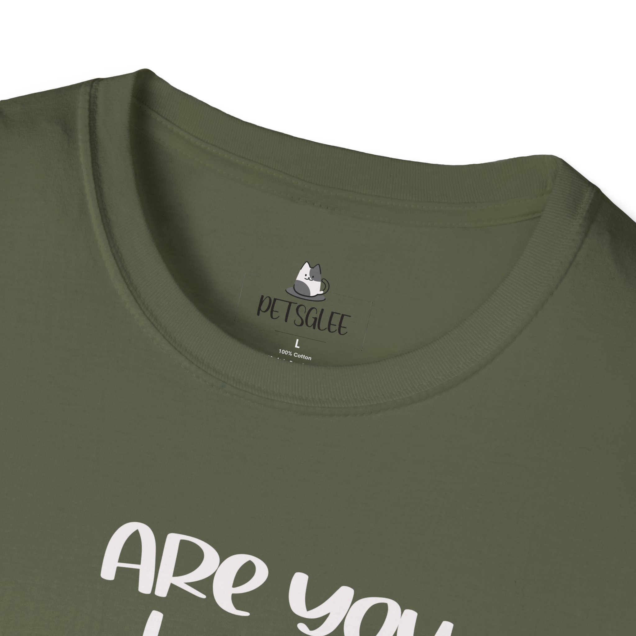 Cute Cat Humor Unisex T-Shirt Are You Kitten Me? Pet Lovers Gift, Funny Tee, Orange Cat Shirt, Birthday Gift, Casual Wear - Image 18