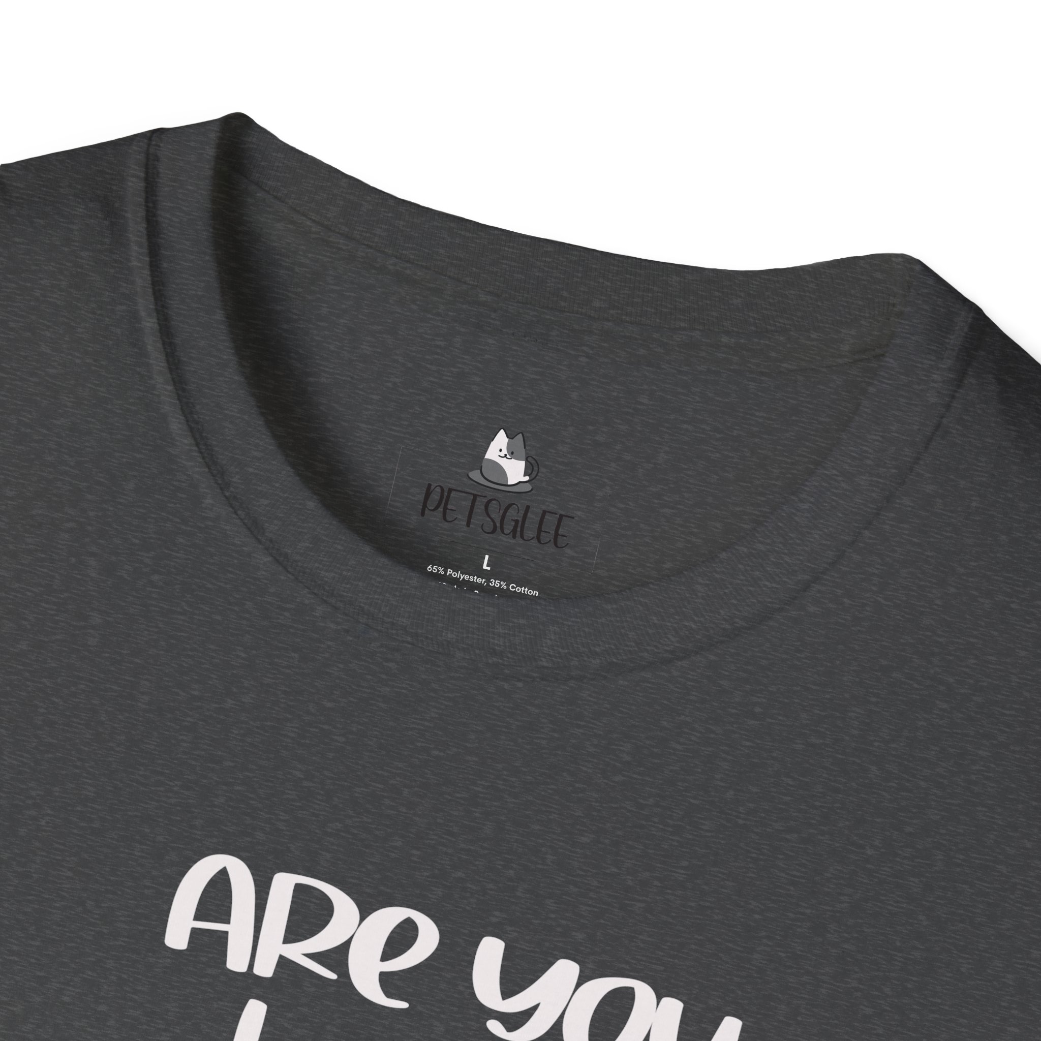 Cute Cat Humor Unisex T-Shirt Are You Kitten Me? Pet Lovers Gift, Funny Tee, Orange Cat Shirt, Birthday Gift, Casual Wear - Image 30