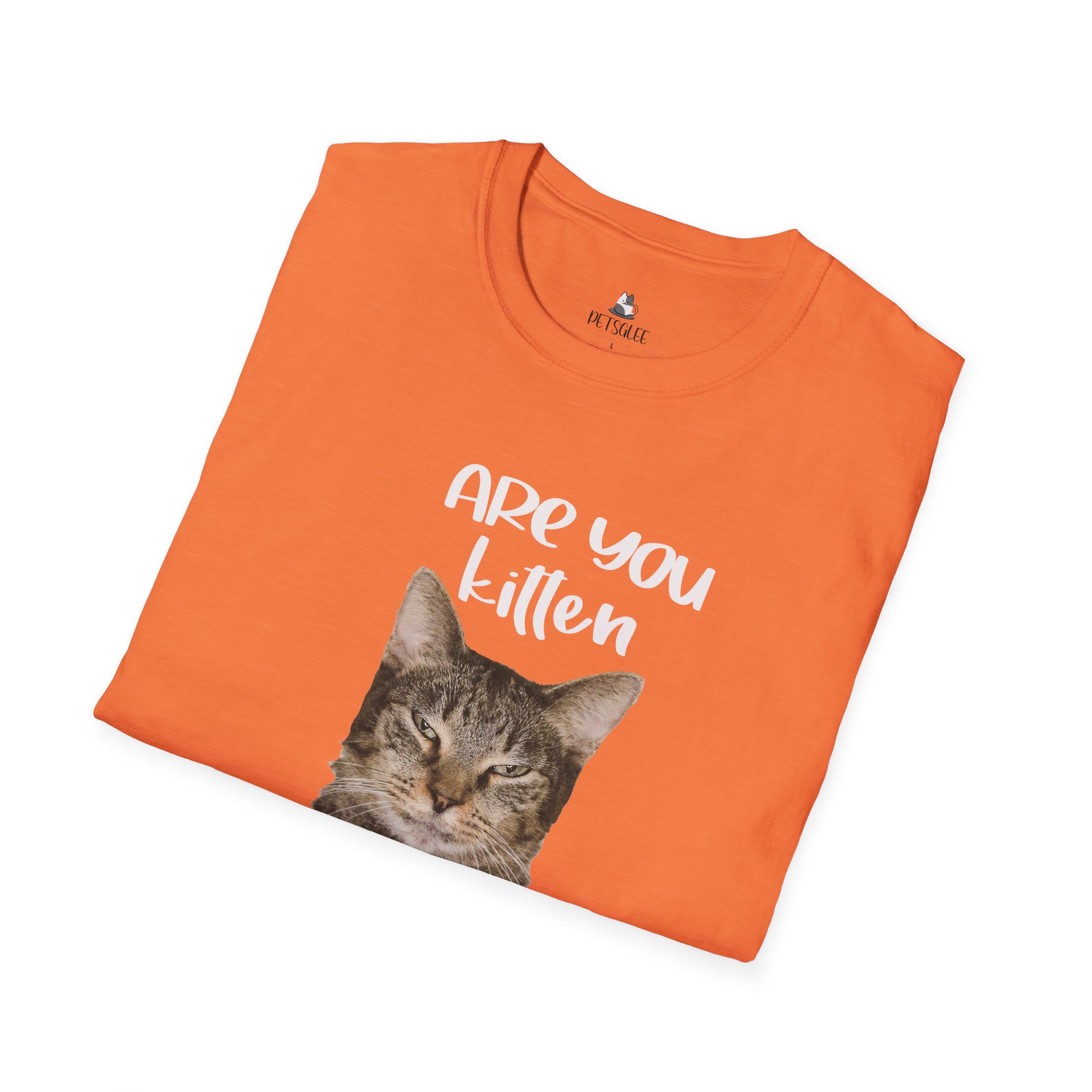Cute Cat Humor Unisex T-Shirt Are You Kitten Me? Pet Lovers Gift, Funny Tee, Orange Cat Shirt, Birthday Gift, Casual Wear - Image 3