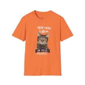 Cute Cat Humor Unisex T-Shirt Are You Kitten Me? Pet Lovers Gift, Funny Tee, Orange Cat Shirt, Birthday Gift, Casual Wear