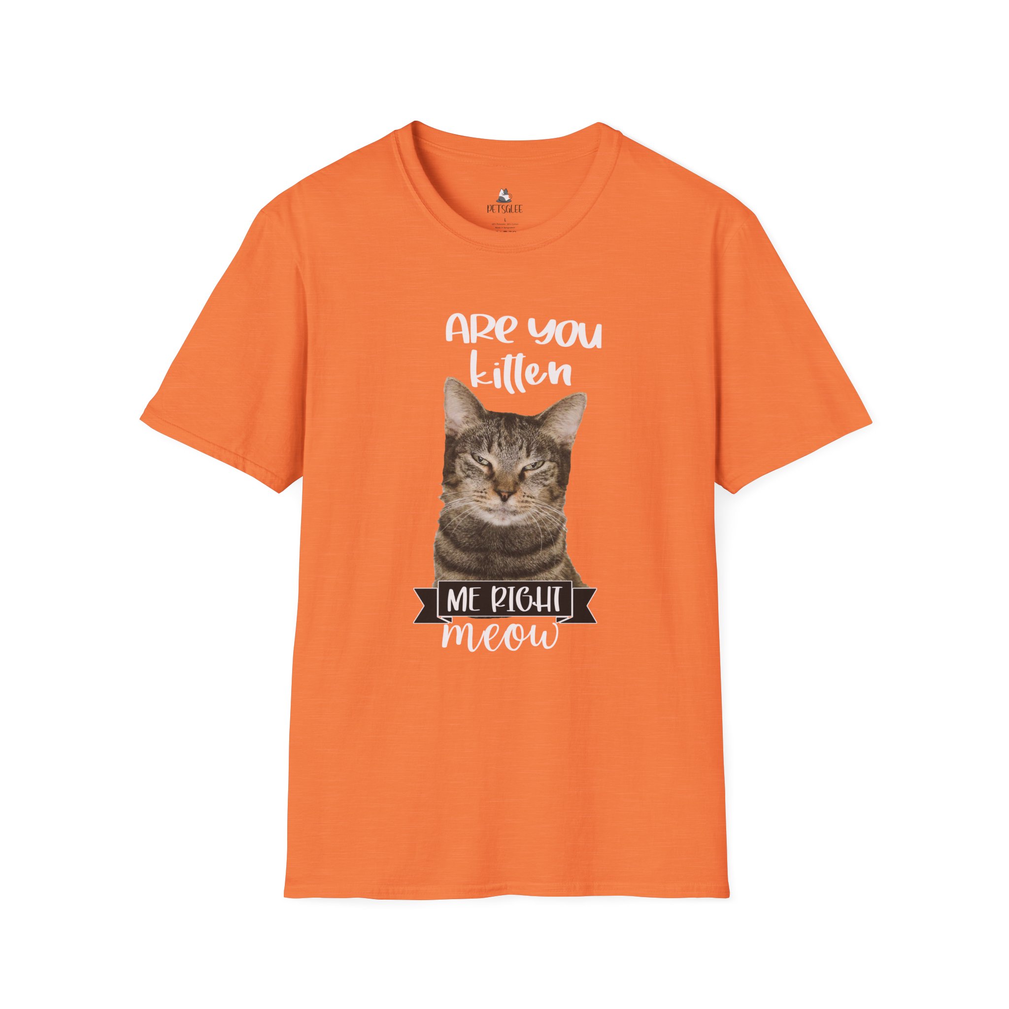 Cute Cat Humor Unisex T-Shirt Are You Kitten Me? Pet Lovers Gift, Funny Tee, Orange Cat Shirt, Birthday Gift, Casual Wear