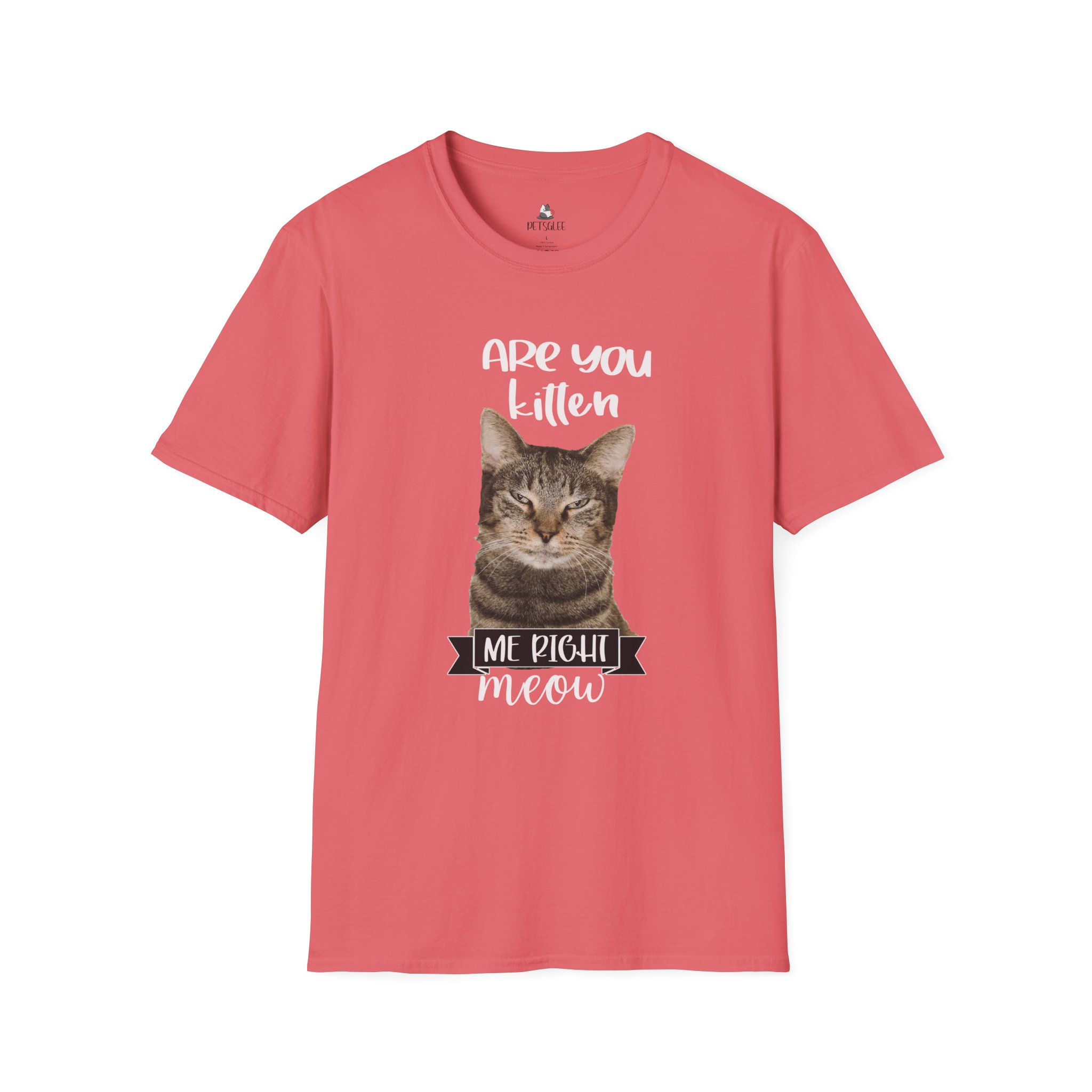 Cute Cat Humor Unisex T-Shirt Are You Kitten Me? Pet Lovers Gift, Funny Tee, Orange Cat Shirt, Birthday Gift, Casual Wear - Image 6