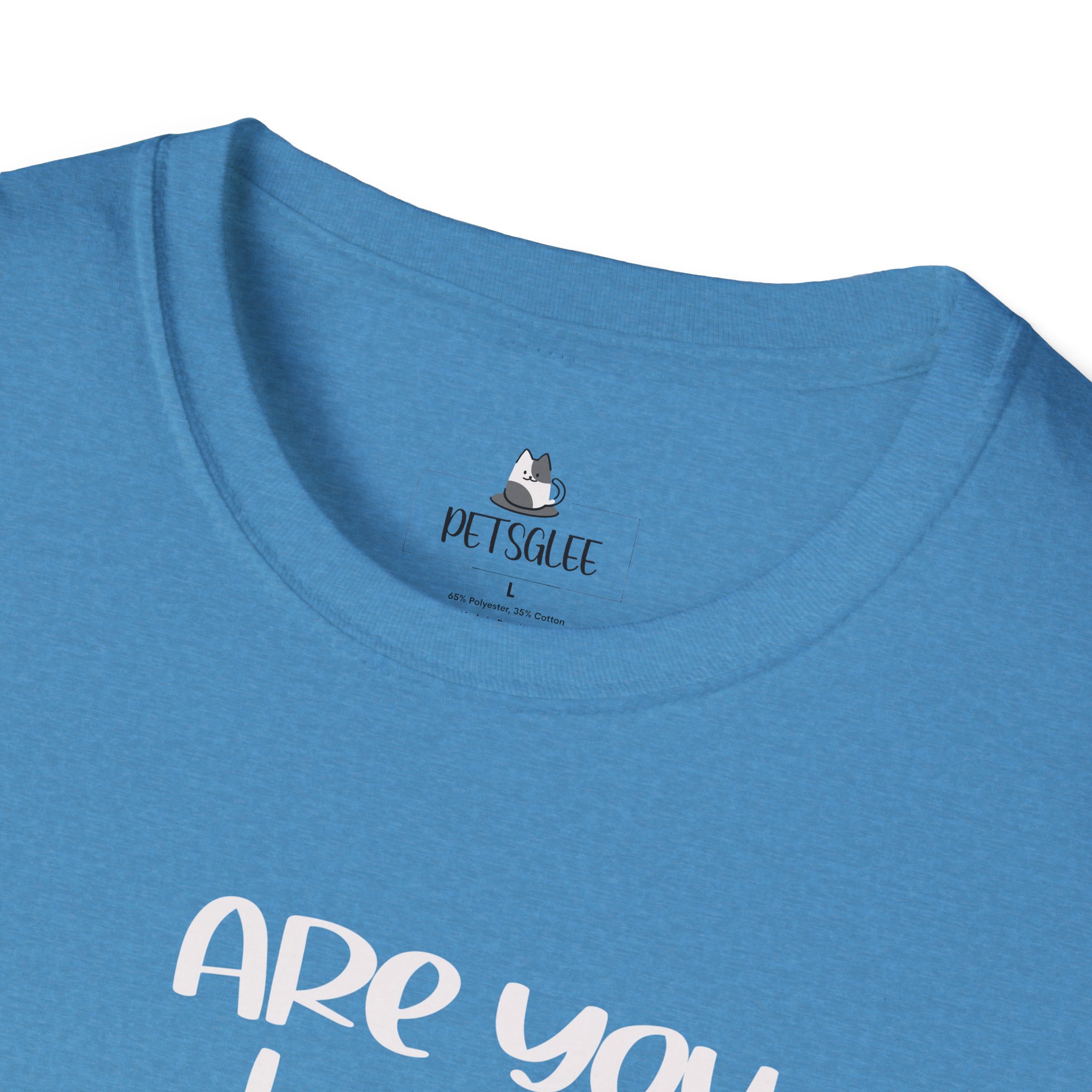 Cute Cat Humor Unisex T-Shirt Are You Kitten Me? Pet Lovers Gift, Funny Tee, Orange Cat Shirt, Birthday Gift, Casual Wear - Image 27