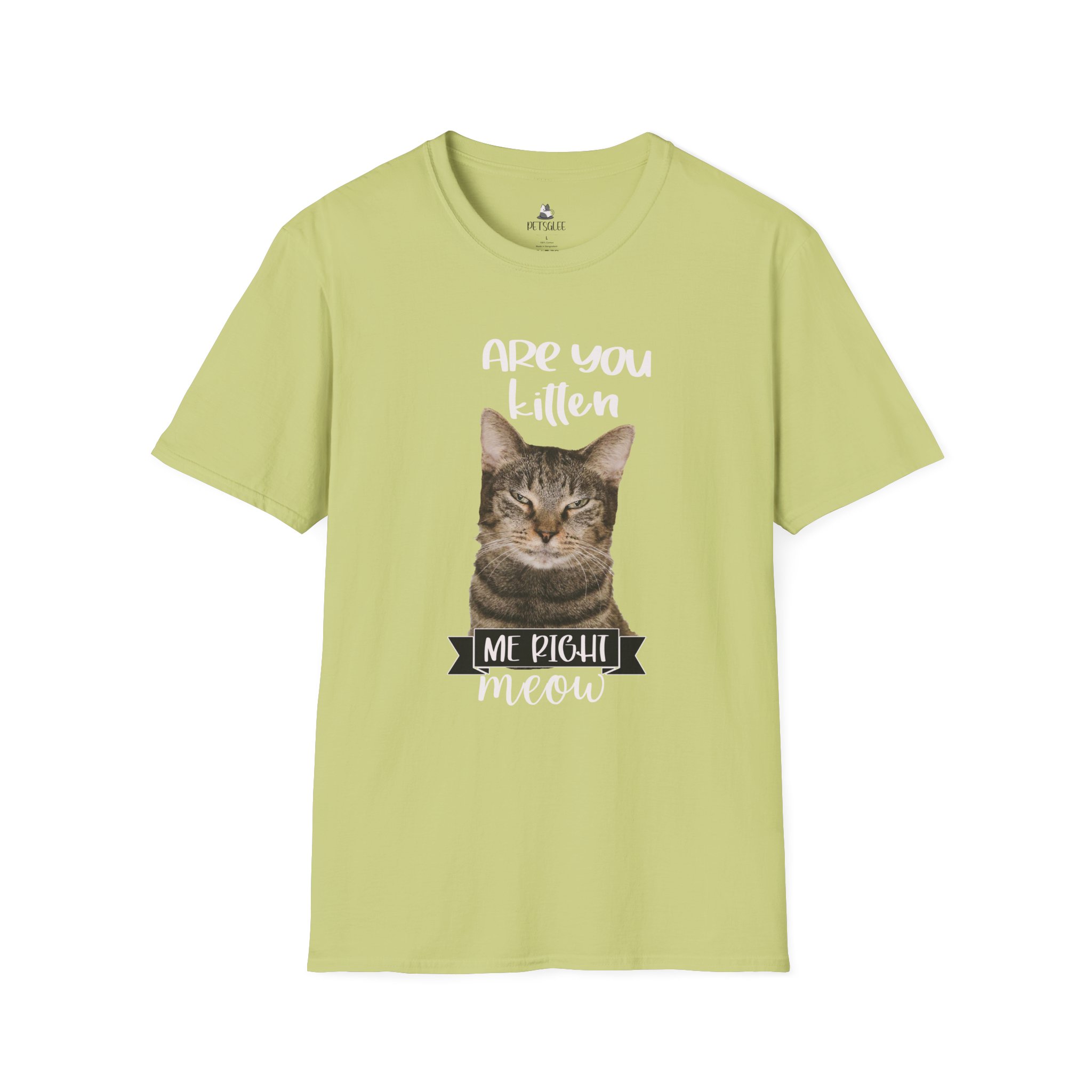 Cute Cat Humor Unisex T-Shirt Are You Kitten Me? Pet Lovers Gift, Funny Tee, Orange Cat Shirt, Birthday Gift, Casual Wear - Image 14
